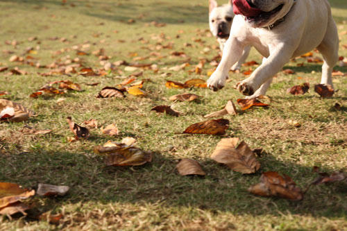 20091020_16.jpg