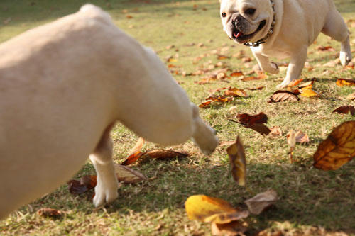20091020_17.jpg