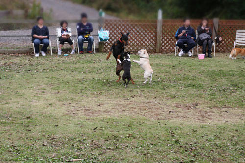 20091218_2.jpg