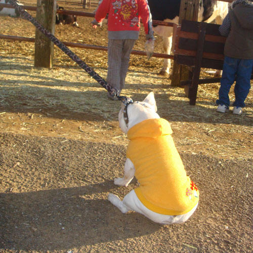 20091228_35.jpg