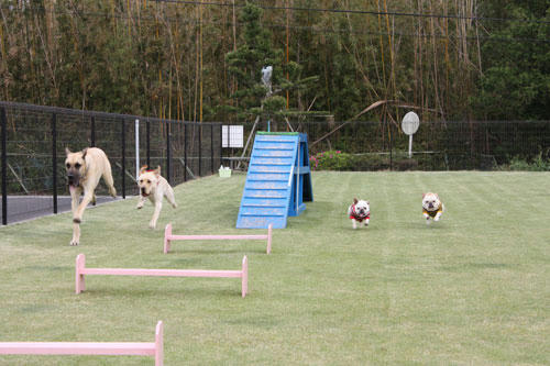 20091228_43.jpg