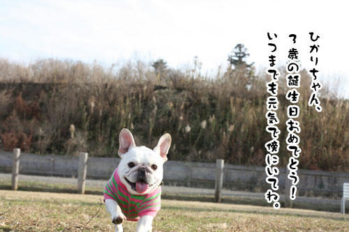 20091228_50.jpg