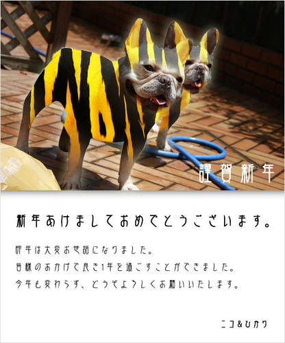 20090102.jpg