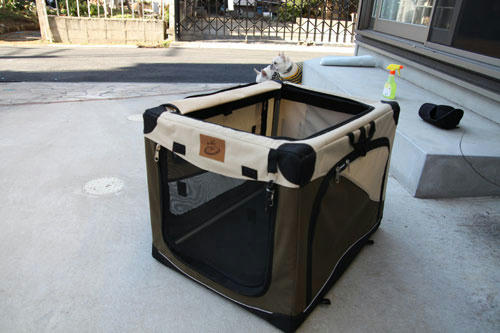 20100128_1.jpg