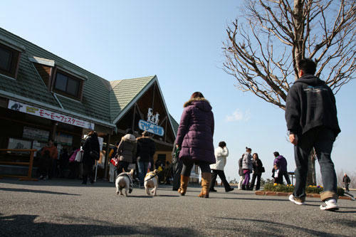 20100201_1.jpg