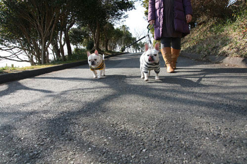 20100201_2.jpg