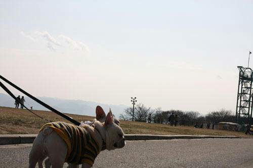 20100201_3.jpg