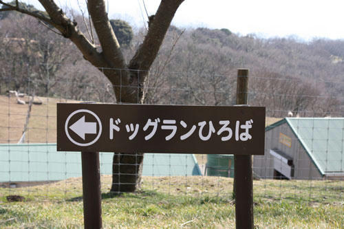 20100201_4.jpg