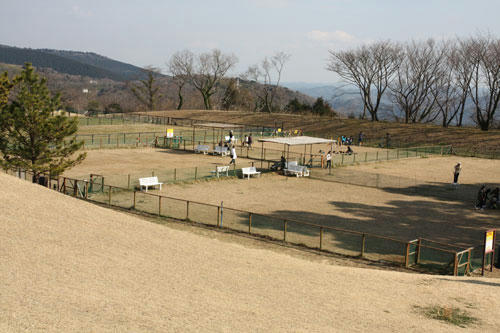 20100201_8.jpg