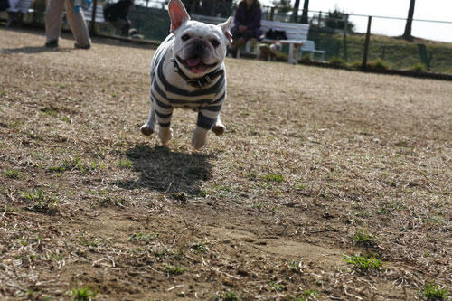 20100201_9.jpg
