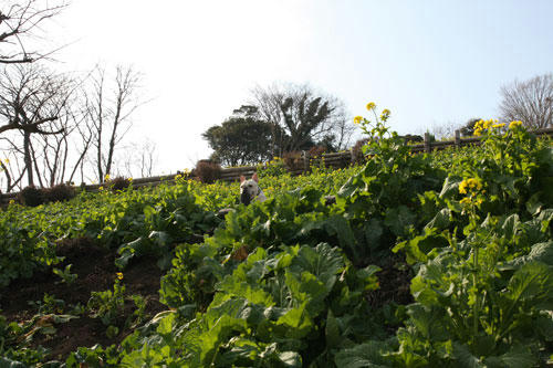20100201_13.jpg