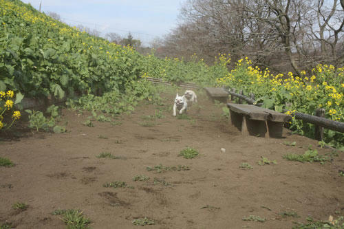 20100201_14.jpg