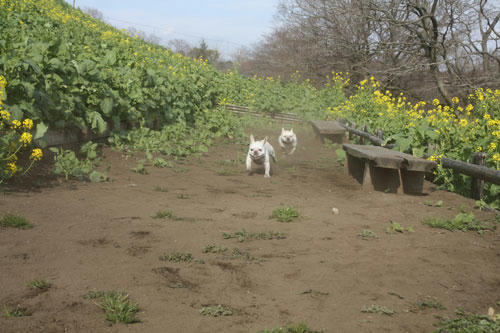 20100201_15.jpg