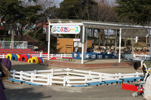 20100201_21.jpg