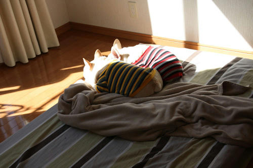 20100216_2.jpg