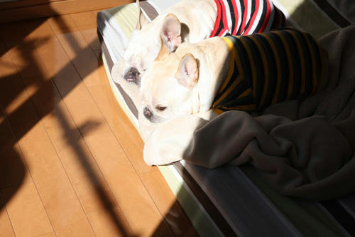 20100216_3.jpg