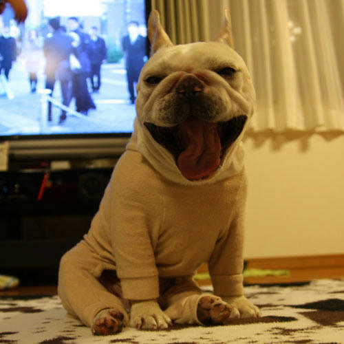 20100218_2.jpg