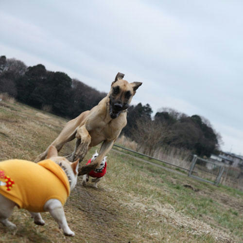 20100224_4.jpg