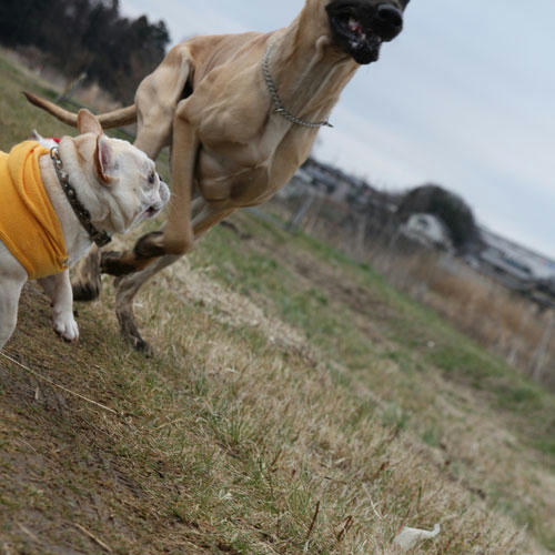 20100224_5.jpg