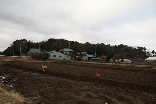 20100224_6.jpg