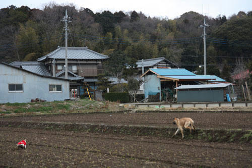 20100224_7.jpg
