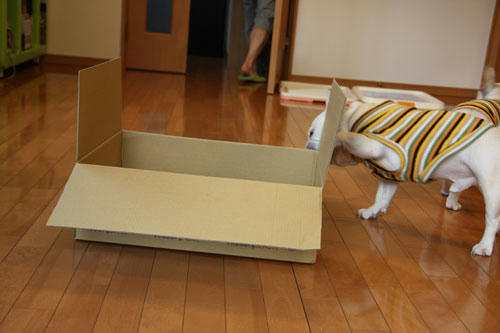 20100315_1.jpg