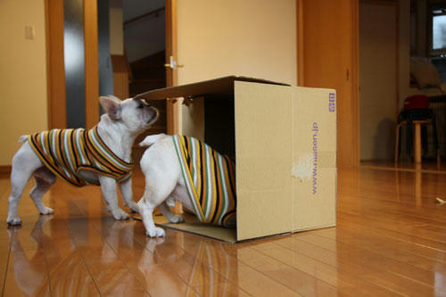 20100315_6.jpg