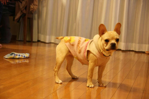20100331_1.jpg