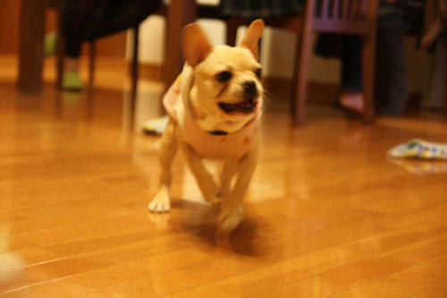 20100331_2.jpg