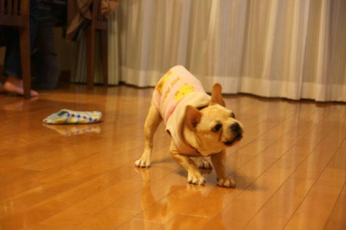 20100331_3.jpg