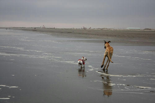 20100405_2.jpg