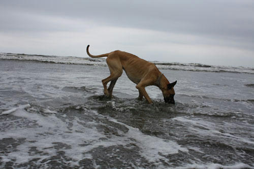 20100405_5.jpg