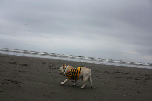 20100405_6.jpg