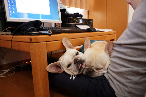 20100409_2.jpg