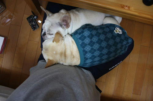 20100409_3.jpg