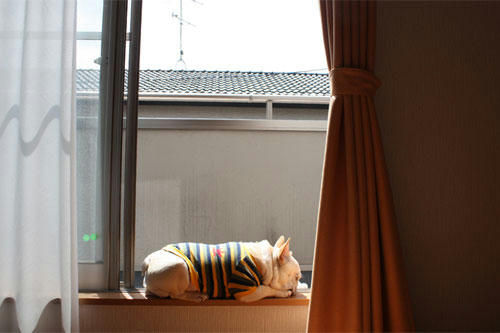 20100410_1.jpg