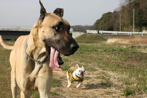 20100411_1.jpg