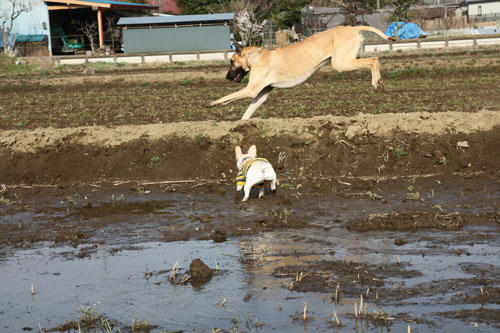 20100411_4.jpg