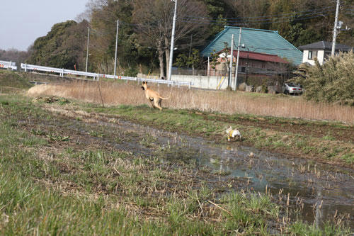 20100411_5.jpg