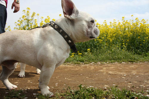 20100422_7.jpg