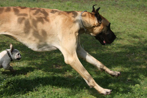 20100422_11.jpg