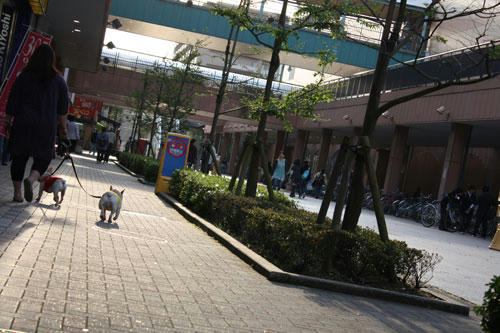 20100502_1.jpg