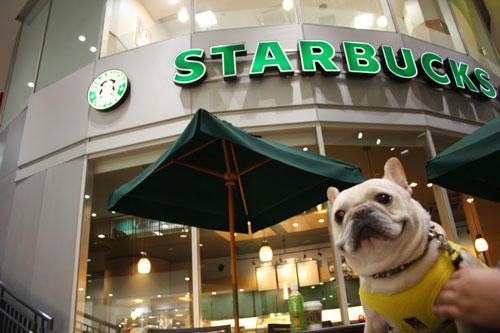 20100502_2.jpg