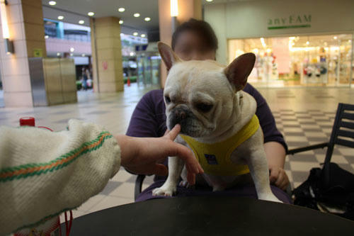 20100502_3.jpg