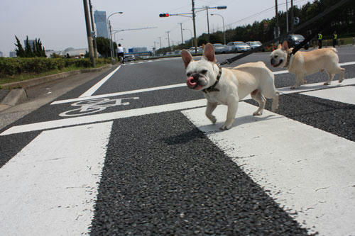 20100504_1.jpg