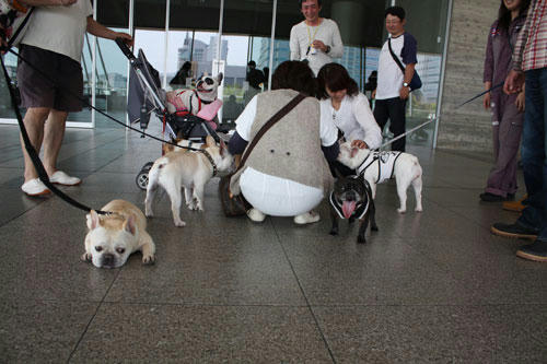 20100504_2.jpg