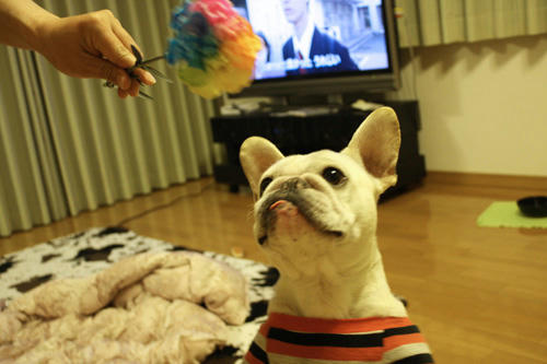 20100505_3.jpg