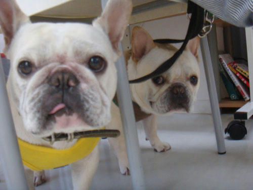 20100507_1.jpg