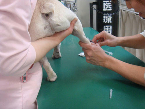 20100507_3.jpg
