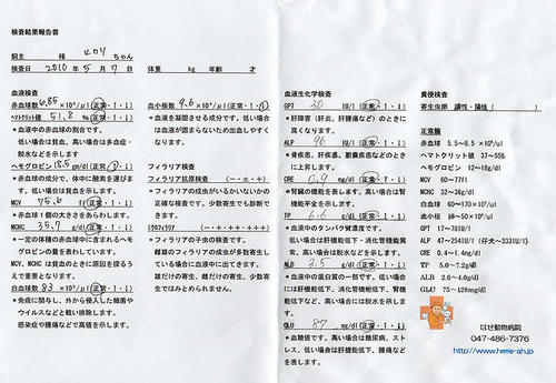 20100507_5.jpg